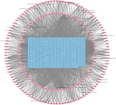 A network pharmacology and molecular docking approach to reveal the mechanism of Chaihu Anxin Capsule in depression